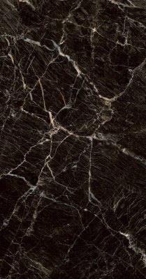 Керамогранит Zebrano_PGT Черн. 60x120 _ 1\46,08 (PGT1206010105MGR)