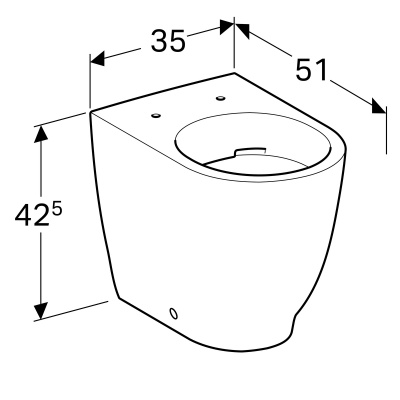 Унитаз напольный, безободковый Geberit Acanto (500.602.01.2)