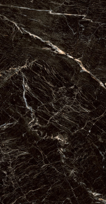 Керамогранит Zebrano_PGT Черн. 60x120 _ 1\46,08 (PGT1206010105MGR)