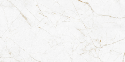 Керамогранит Antares_GT Бел. 30x60 1\58,32 (GT226VG)