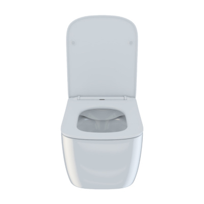 Унитаз подвесной безободковый, Bridge, IDDIS (BRIRDSEi25)