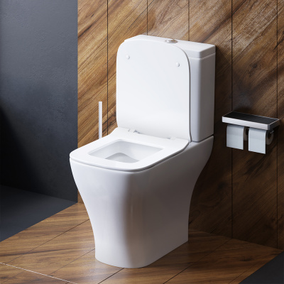 Damixa Titan унитаз-компакт безободковый с сиденьем микролифт (DX78C8600SC)