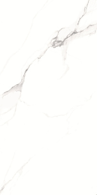 Керамогранит Alfanzo_GT Бел. 60x120 _ 1\46,08 (GT1206012003SPR)