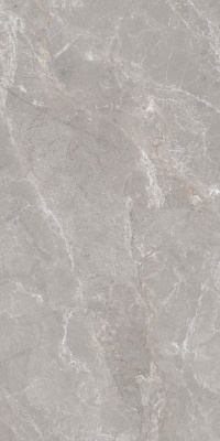 Керамогранит Anatolia_GT Серый 60x120 _ 1\46,08 (GT1206019601MDGR)