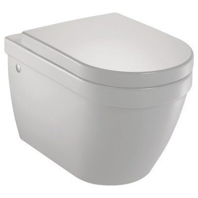 Унитаз подвесной Jacob Delafon - Rodin (EDC102-00)