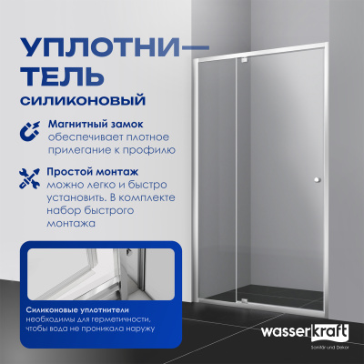 Душевая дверь WasserKRAFT Aula (11P13)