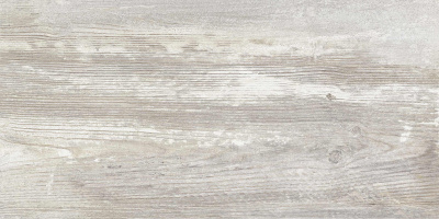 Керамогранит Antares_GT Сер. 30x60 1\58,32 (GT225VG)
