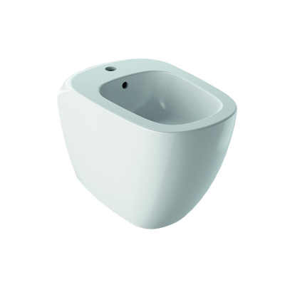 Биде напольное GeberitCitterio (500.538.01.1)