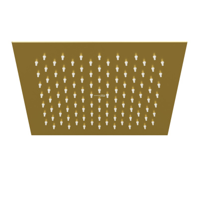 A198 Верхняя душевая насадка (A198)