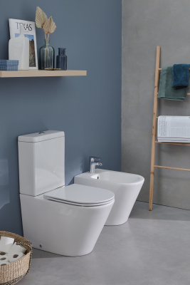 Чаша напольного унитаза Jacob Delafon с креплениями (UJAB102-00)