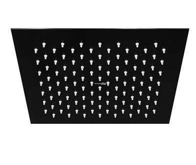 A199 Верхняя душевая насадка (A199)