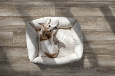 Коллекция Bremen_GT