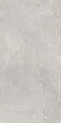 Керамогранит Sogdiana_GT Серый 60x120 _ 1\40,32 (GT1206012601SSR)