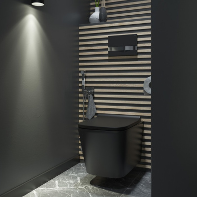 Унитаз подвесной безободковый, чёрный матовый, Bild, IDDIS (BILR2BMi25)