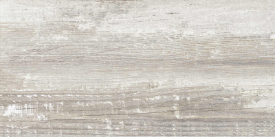 Керамогранит Antares_GT Сер. 30x60 1\58,32 (GT225VG)