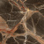 Плитка Global Tile  грес глаз. Alpica_GT Темно-коричневый 60*60 _ 1 \43,2 (GT60602011MR)