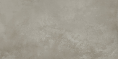Керамогранит Onega_GT Серый 40x80 _ 1\38,4 (GT408013501MR)