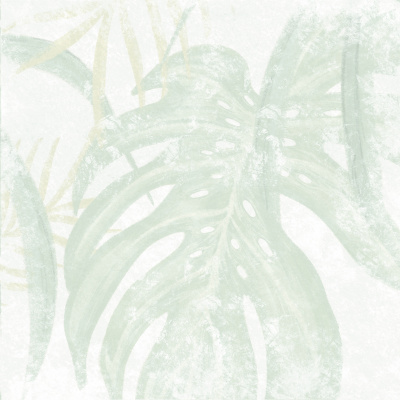 Коллекция Central Park