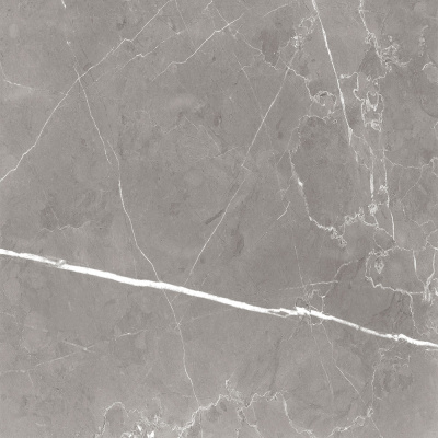 Керамогранит Encanto_GT Серый 60x60 _ 1\43,2 (GT60603001MCR)