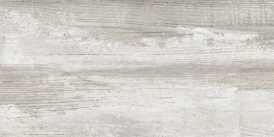 Керамогранит Antares_GT Сер. 30x60 1\58,32 (GT225VG)