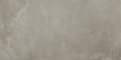Керамогранит Onega_GT Серый 40x80 _ 1\38,4 (GT408013501MR)