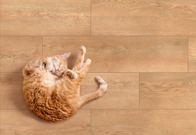 Коллекция Kronborg_GT