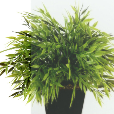 Душевая ширма Тритон Альфа-Хром 100х100, 1/4 круга (1 место) (Щ0000052960)