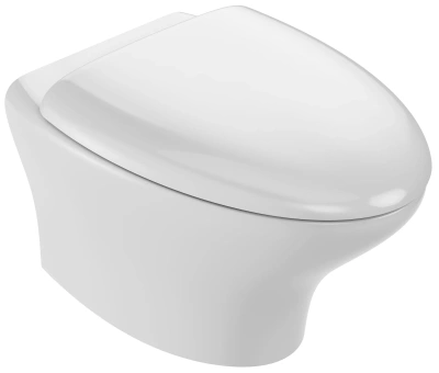 Чаша подвесного безободкового унитаза Jacob Delafon NOUVELLE V, 54 x 39 x 41 см, белый (EDJ102-00) Чаша подвесного безободкового унитаза Jacob Delafon NOUVELLE V, 54 x 39 x 41 см, белый (EDJ102-00)