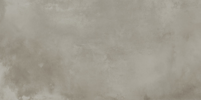 Керамогранит Onega_GT Серый 40x80 _ 1\38,4 (GT408013501MR)