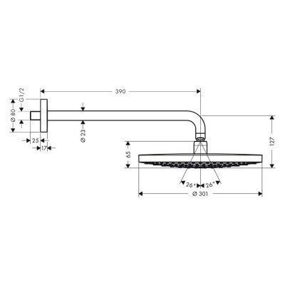 Верхний душ Hansgrohe - Raindance Select S (27378000)
