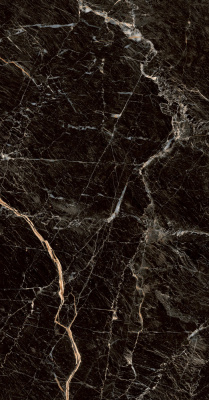 Керамогранит Zebrano_PGT Черн. 60x120 _ 1\46,08 (PGT1206010105MGR)