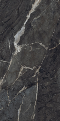 Керамогранит Camlin_GT Черн. 60x120 _ 1\46,08 (GT1206011905SPR)