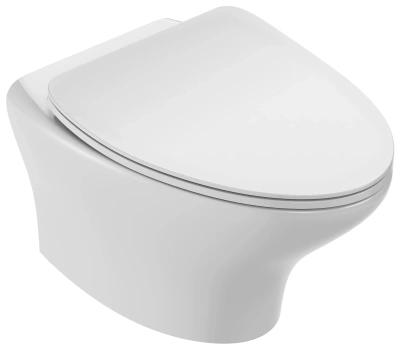 Чаша подвесного безободкового унитаза Jacob Delafon NOUVELLE V, 54 x 39 x 41 см, белый (EDJ102-00) Чаша подвесного безободкового унитаза Jacob Delafon NOUVELLE V, 54 x 39 x 41 см, белый (EDJ102-00)