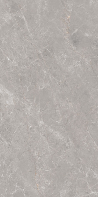 Керамогранит Anatolia_GT Серый 60x120 _ 1\46,08 (GT1206019601MDGR)